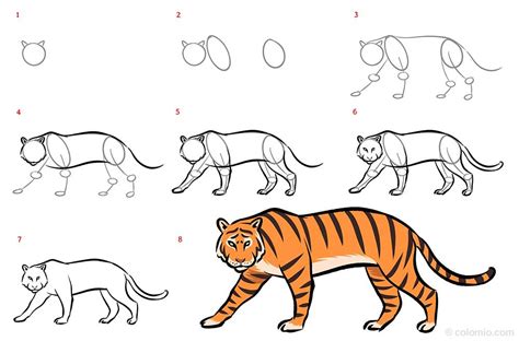 How to Draw a Tiger (with Pictures) .
